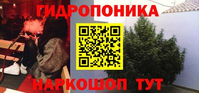 a pvp Тара