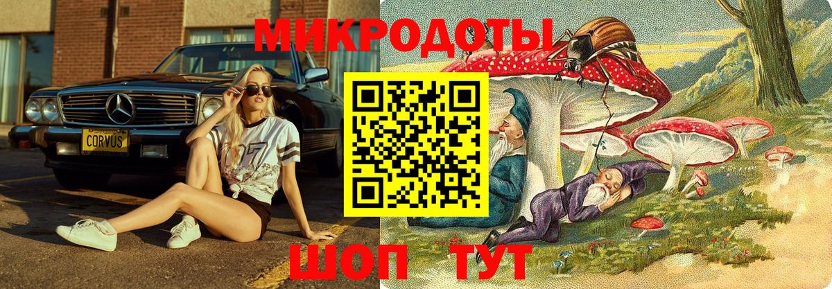 Галлюциногенные грибы Magic Shrooms Новочеркасск