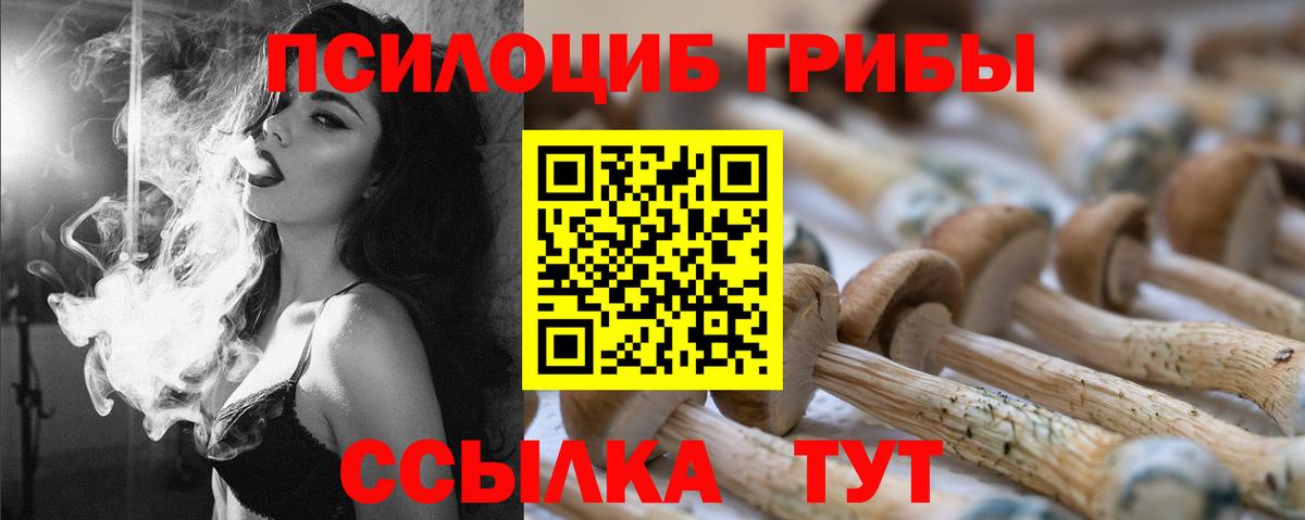 Новочеркасск  Галлюциногенные грибы GOLDEN TEACHER  закладка  Вход с VPN 